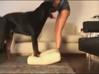 K9 dog sex with busty whore